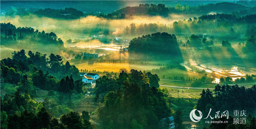 еؑcϴ^(q)^(zhn)F箋 z