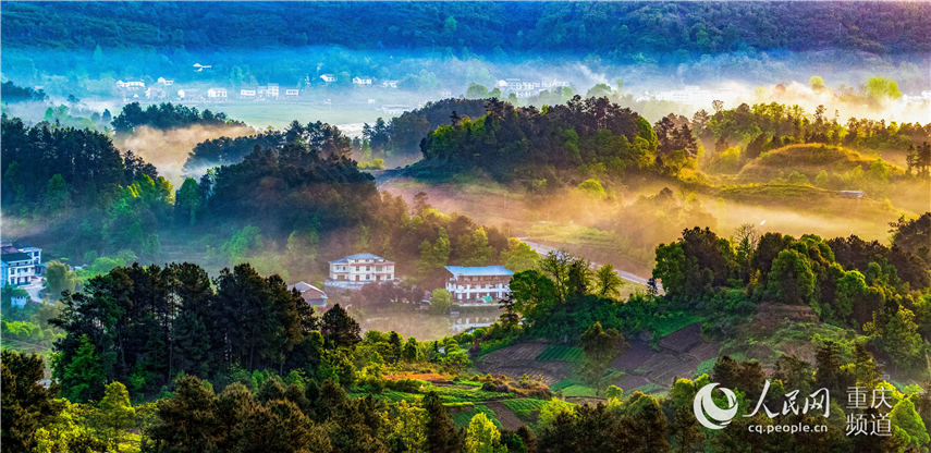 еؑcϴ^(q)^(zhn)F箋 z