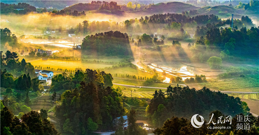 еؑcϴ^(q)^(zhn)F箋 z