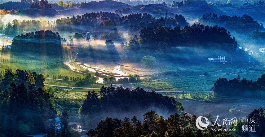 еؑcϴ^(q)^(zhn)F箋 z