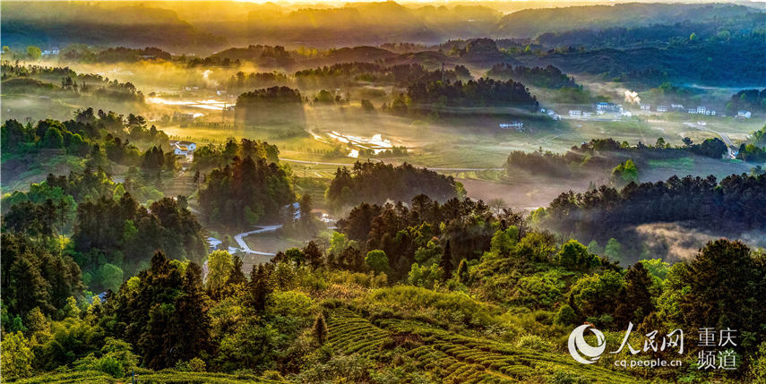 еؑcϴ^(q)^(zhn)F(mng)箋 z