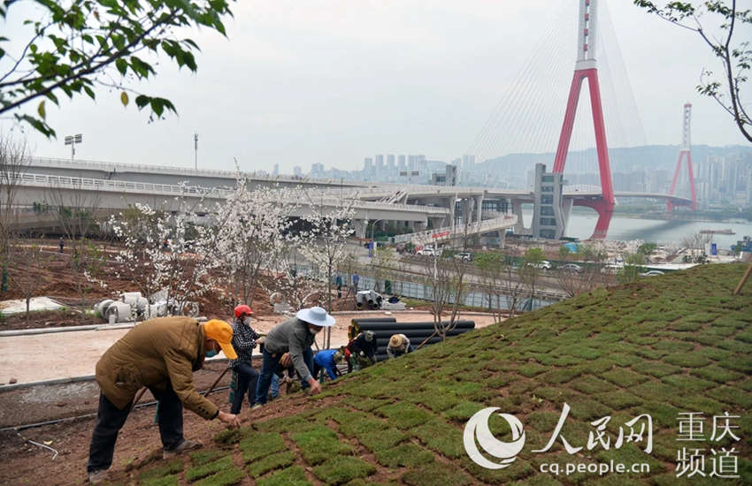 ѻw@ʩF(xin)(chng)f݅^(q)ίD