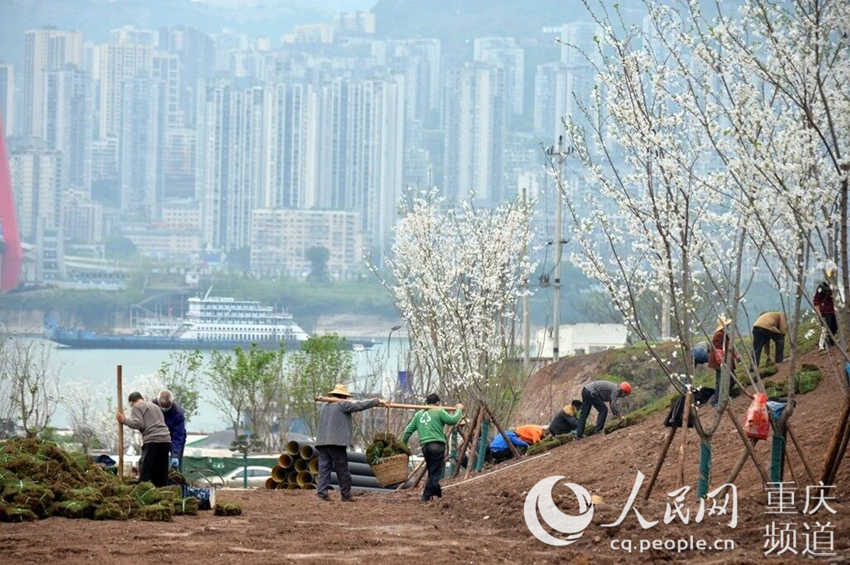 ѻw@ʩF(xin)(chng)f(wn)݅^(q)ίD