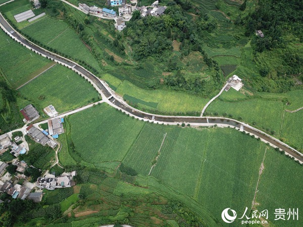 (ji)(bio)(zhn)r(nng) z