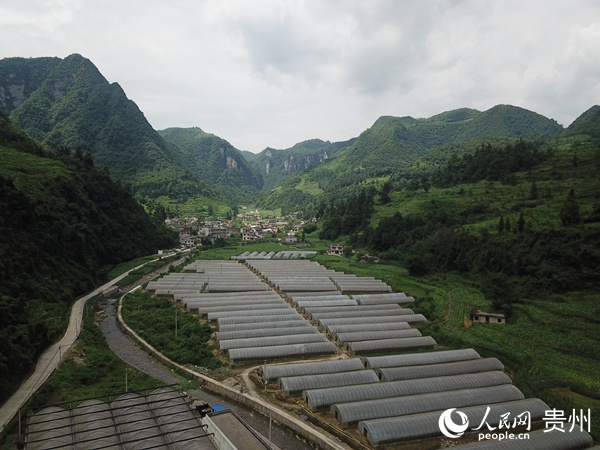 (ji)(bio)(zhn)r(nng)(sh)F(xin)r(nng)I(y)a(chn)r(nng) z