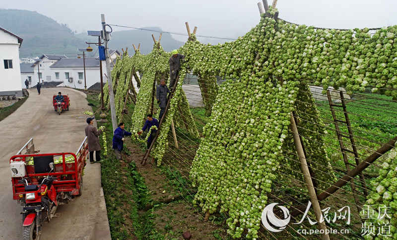 ɴ^ڲ˼L(fng)Óˮ־(qing)SӔz