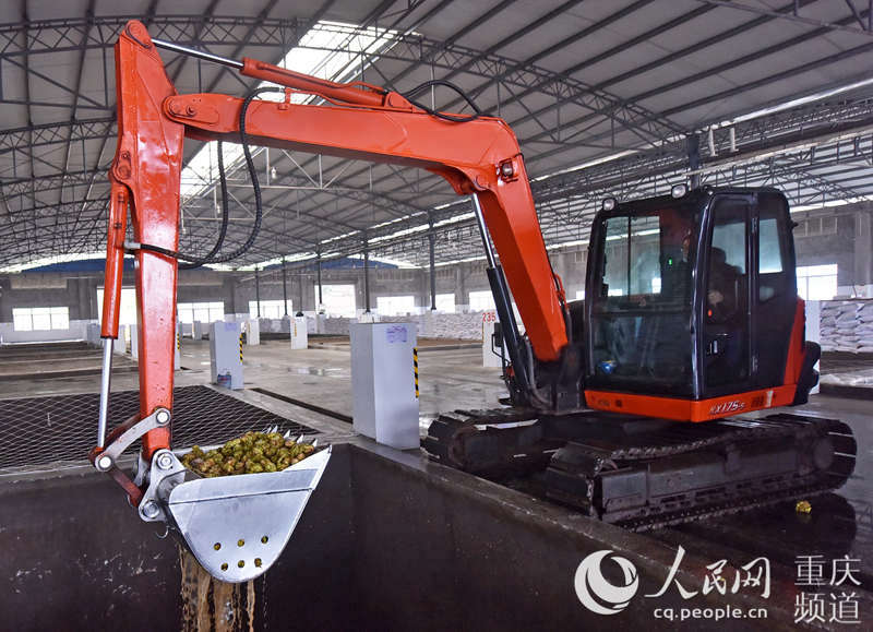 ե˼FԭϼӹSڼӹُ^־SӔz