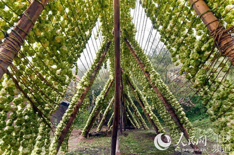 ϼL(fng)ɵ^־(qing)SӔz