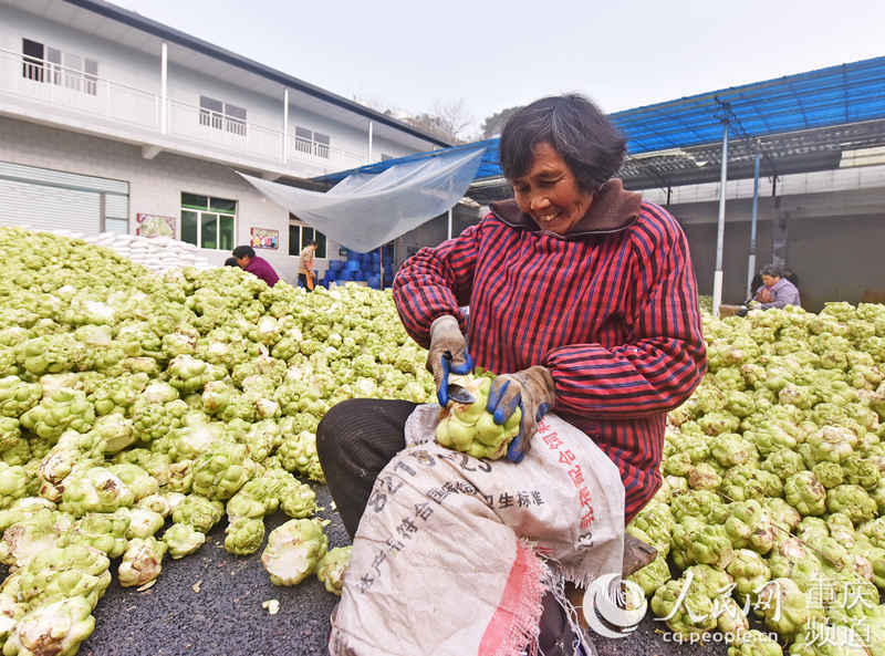 տ^ȥƤ־(qing)SӔz