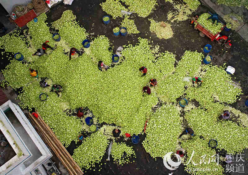 տ^ȥƤ־(qing)SӔz