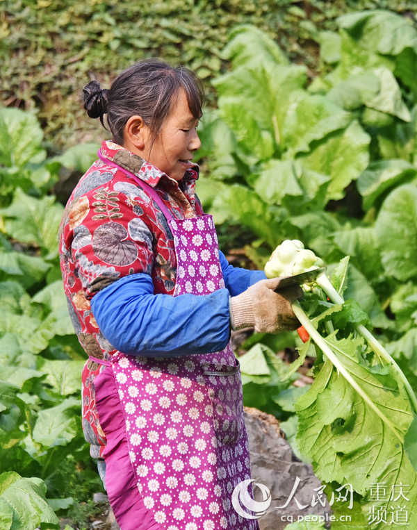 r(nng)տ^־(qing)SӔz