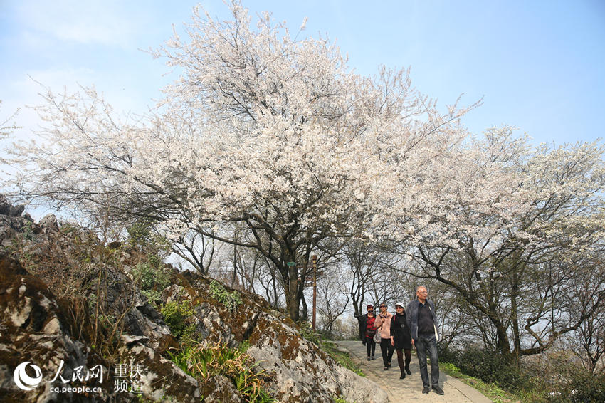 ڻgܴĚϢW(wng) z