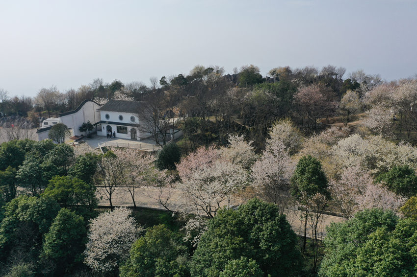 山^(q)ʢ(zhn)ɽfҰѻӭ`xz