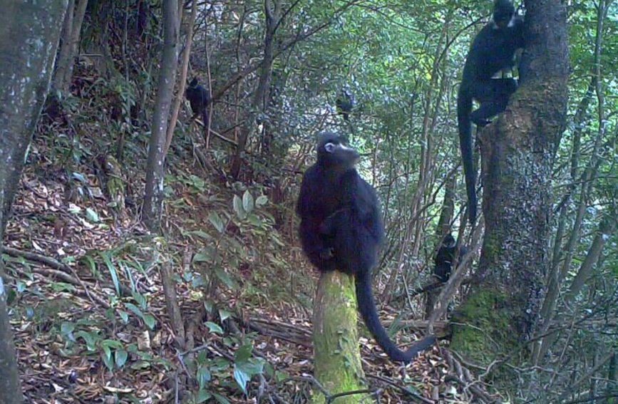 t⾀Б(yng)Cץĵĺ~ȺؑcɽҼȻo^(q)ֹD