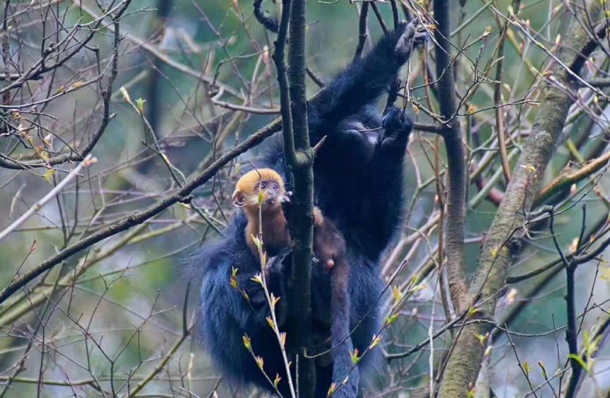 ~ؑcɽҼȻo(h)^(q)ֹD