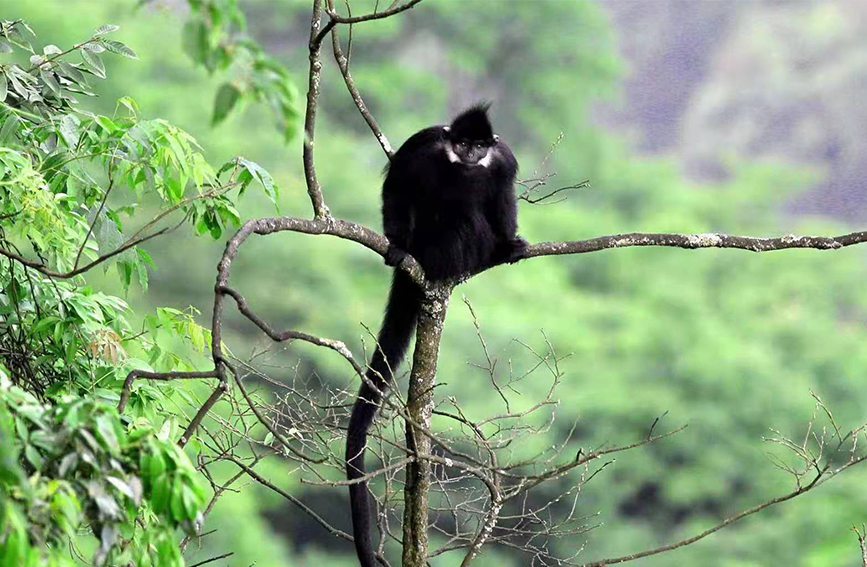 ~ؑcɽ(gu)Ҽ(j)Ȼo(h)^(q)ֹD