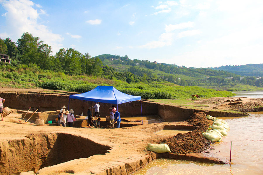 ŬF(xin)(chng)(du)(du)Tcϝqˮr(sh)gؑcĻza(chn)оԺD