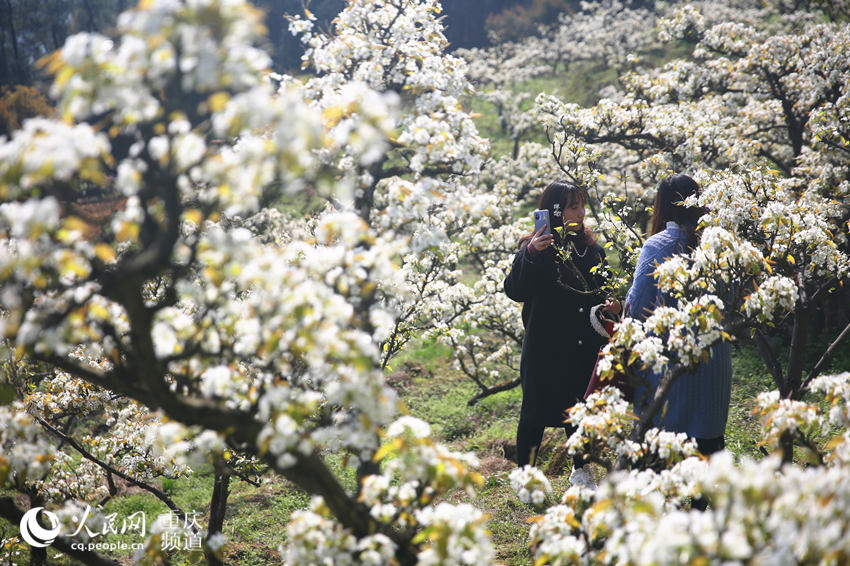 山ţƺ滨W(wng) z