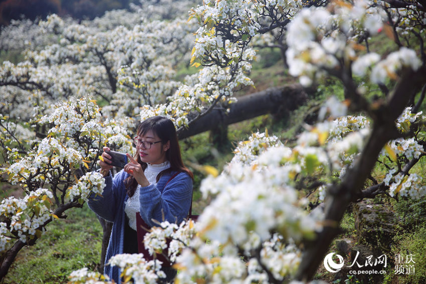 山ţƺ滨W(wng) z