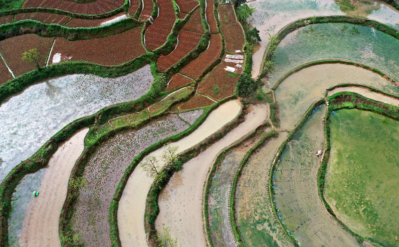 ցRr(sh)(ji)L(fng)SӔz 