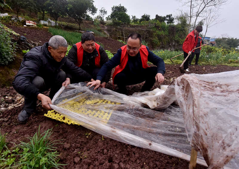 x(zhn)־Ըr(nng)SӔz