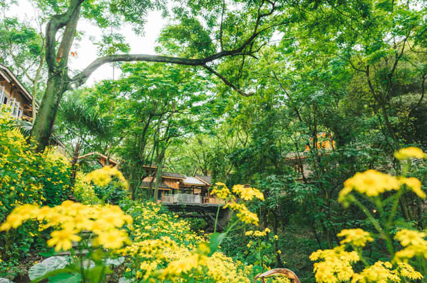 vʷĻօ^(q)L(fng)?ci)z