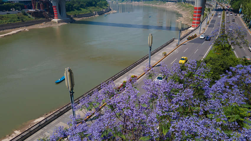 I·ϣ{(ln)ʢ_ֺz