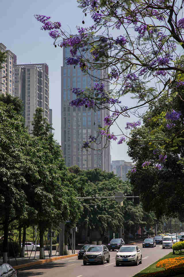 I·{(ln)ʢ_(ki)ֺz