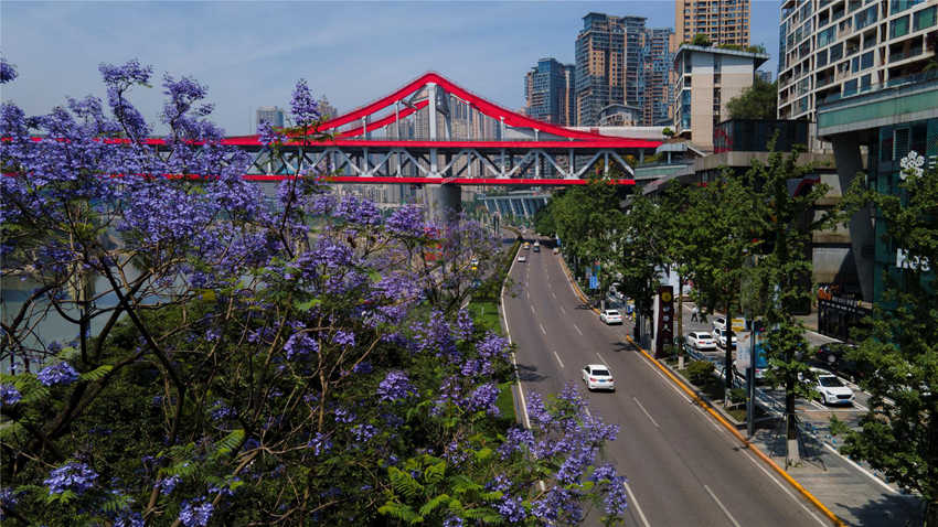 {ɫ{麺ͼtɫ?gu)rӳȤֺz