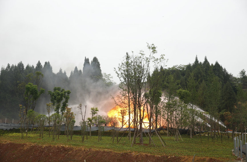 ݾF(xin)ؑcБ(yng)ֹD