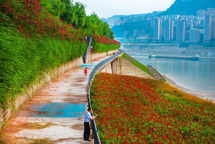 ؑcfL(zhng)䎧r`šGz