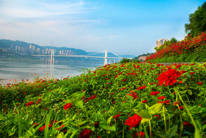 fݽ^(q)ϞI@L䎧r`Gz