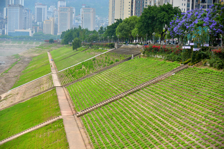 f݅^(q)I·䎧ϵr6Ѯʢ_Sz