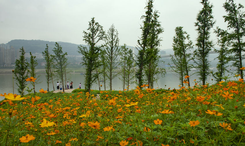 f(wn)ݽ^(q)ɻĺȽ܊z