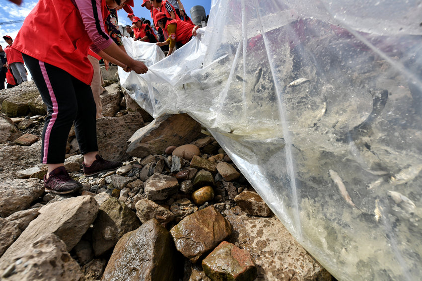 P(gun)ˆT~(y)뽭z