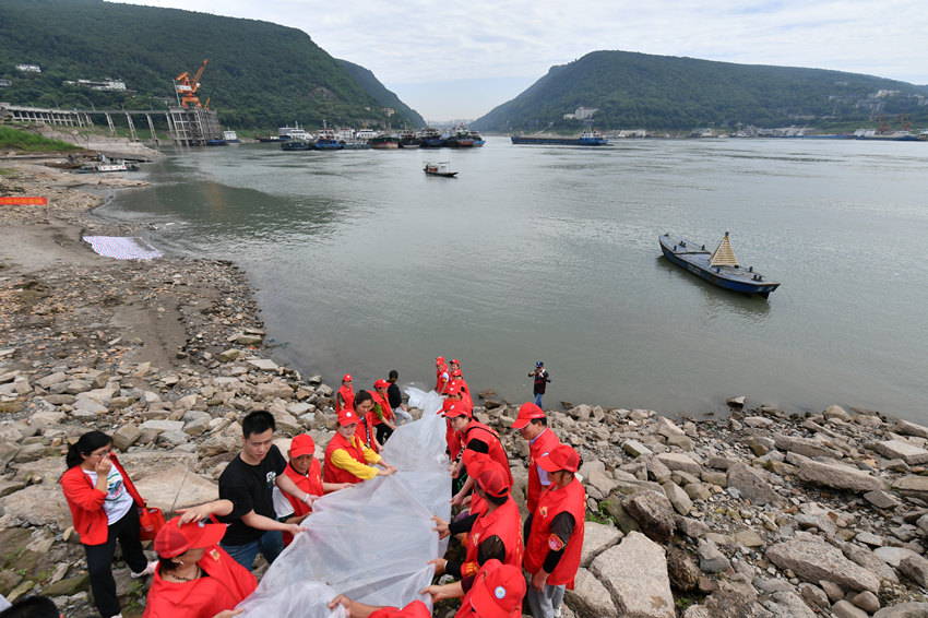 P(gun)ˆT~(y)뽭z