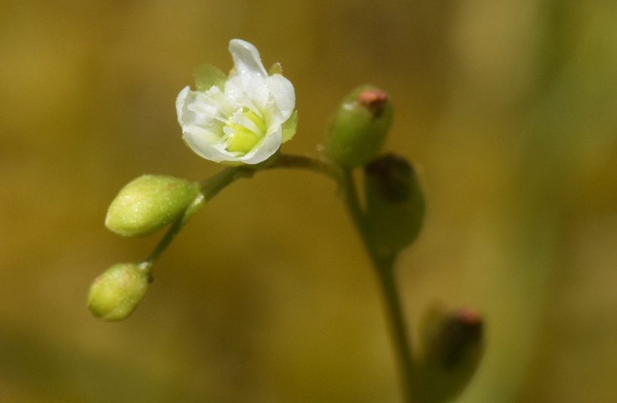 A~é˵ĻȫؑcҼȻo(h)^(q)̎D