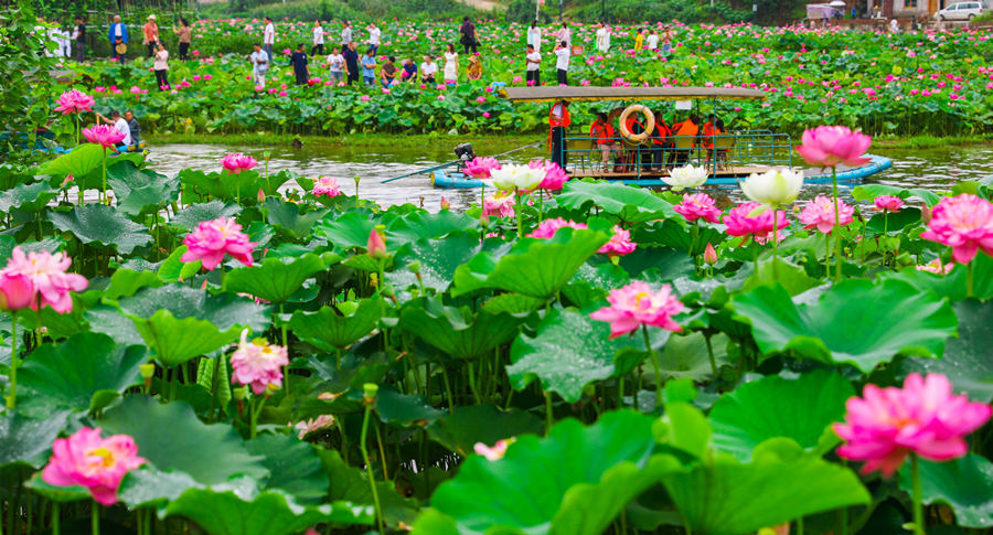 ؑc|hQ(zhn)500஀ɻ˯ɏ(jng)`L(zhng)Ɣz