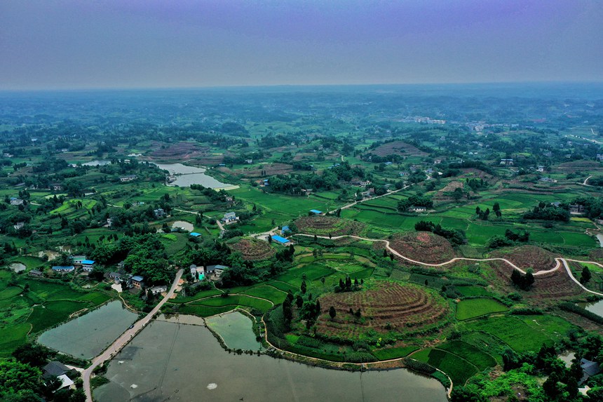 KY(ji)ȫ匍Hյ؄ݸߵͲ֮a(chn)I(y)_Δz