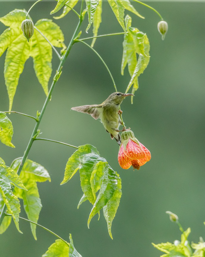 β̫(yng)B(nio)ؑcϴ^(q)ɽ¾^(q)g衱z