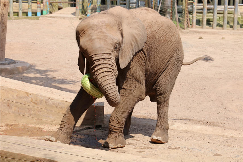 _ߡӾ?sh)Ȼʽ_ϼg(sh)ɽ z