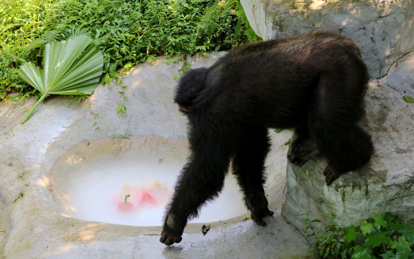 ˆT؄e(zhn)ˡˮ偡ɽ z