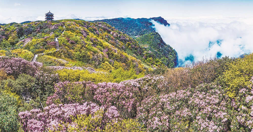 ɽN Ĕzcɽ zҕXؑc