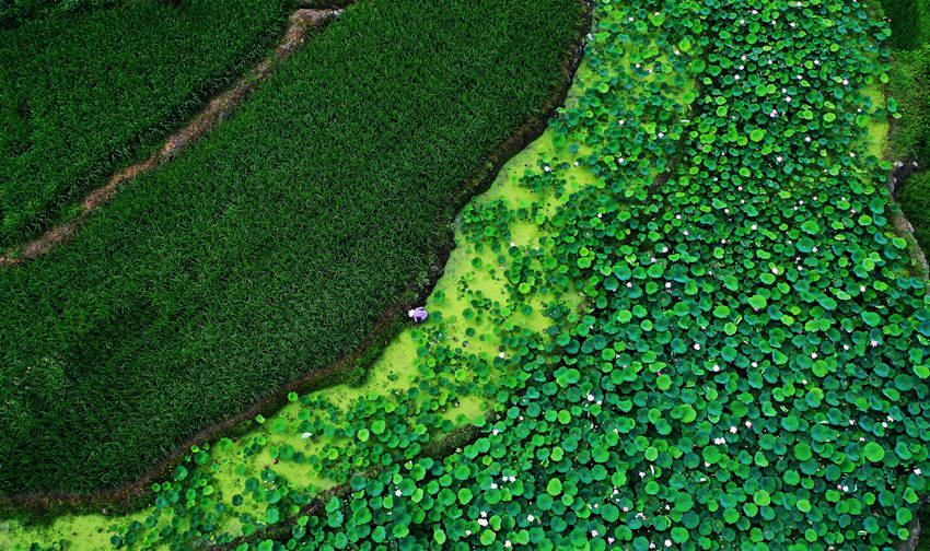 ؑcˮϪl(xing)ФҜϴƬĺcӳȤΨz