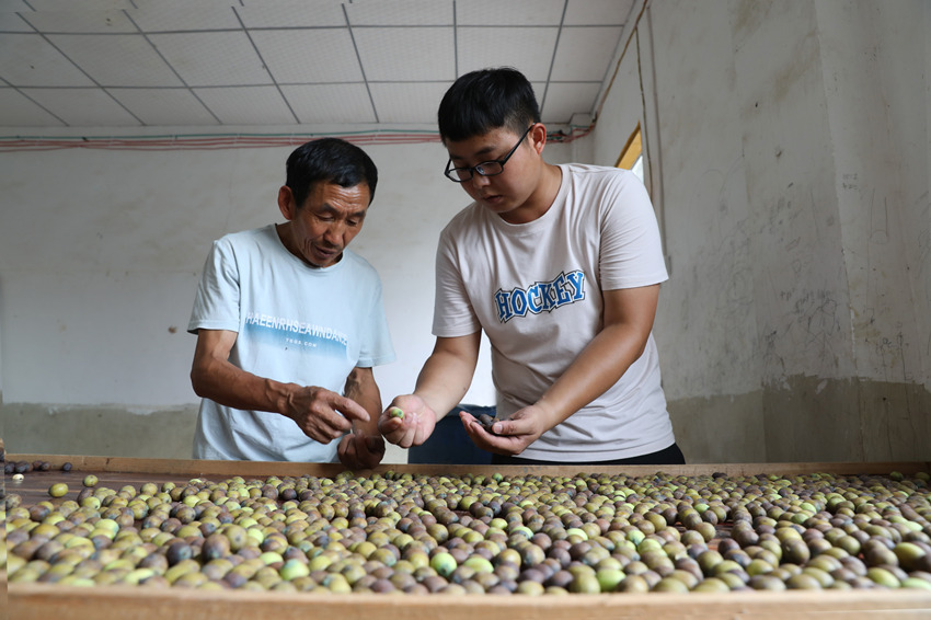 Ƚࣨңovӷ֒ɏΨz