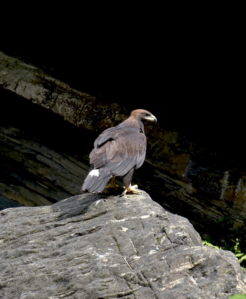 Ȼo^(q)ܿҊNFɽh֘I(y)ֹD