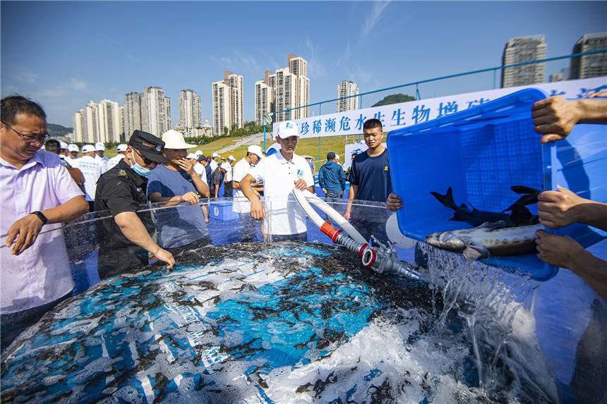 LϡlΣˮֳ(dng)F(xin)Ƚ܊ z