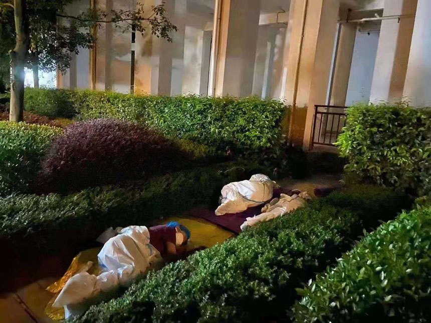 zyˆT˾ھGСϲ[һ^(q)ίD