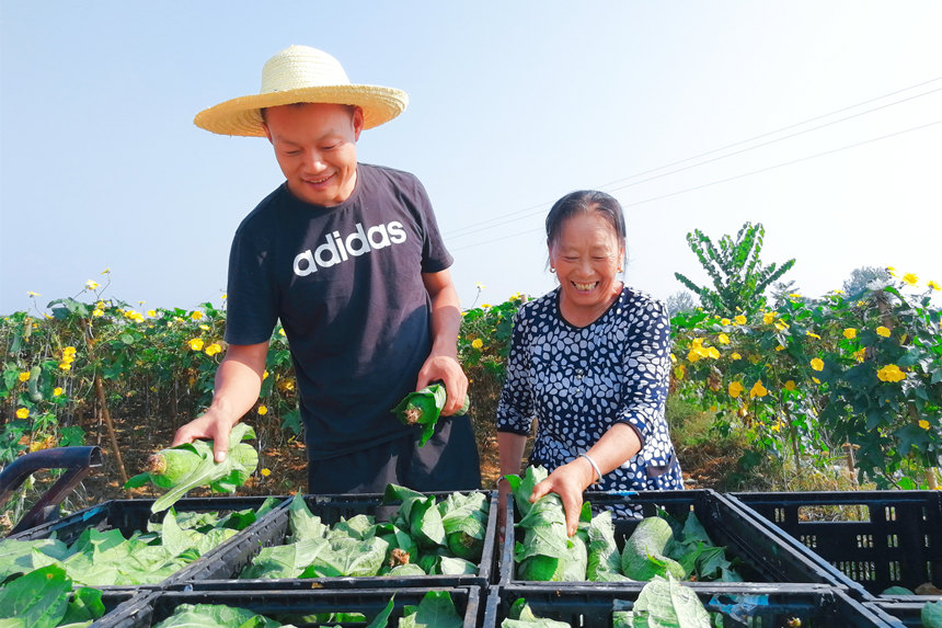 񌢲ժĽzM(jn)bz