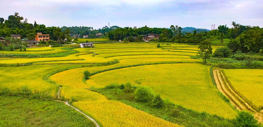 ɫ箋(hu)_(ki)z